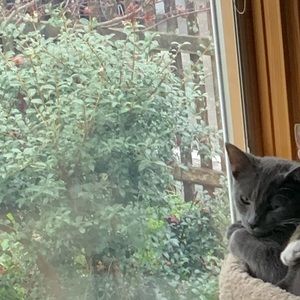 Meet your Posher, Anjali